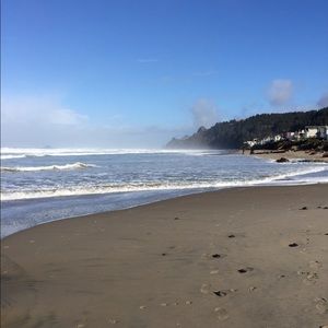 Meet your Posher, Zoe